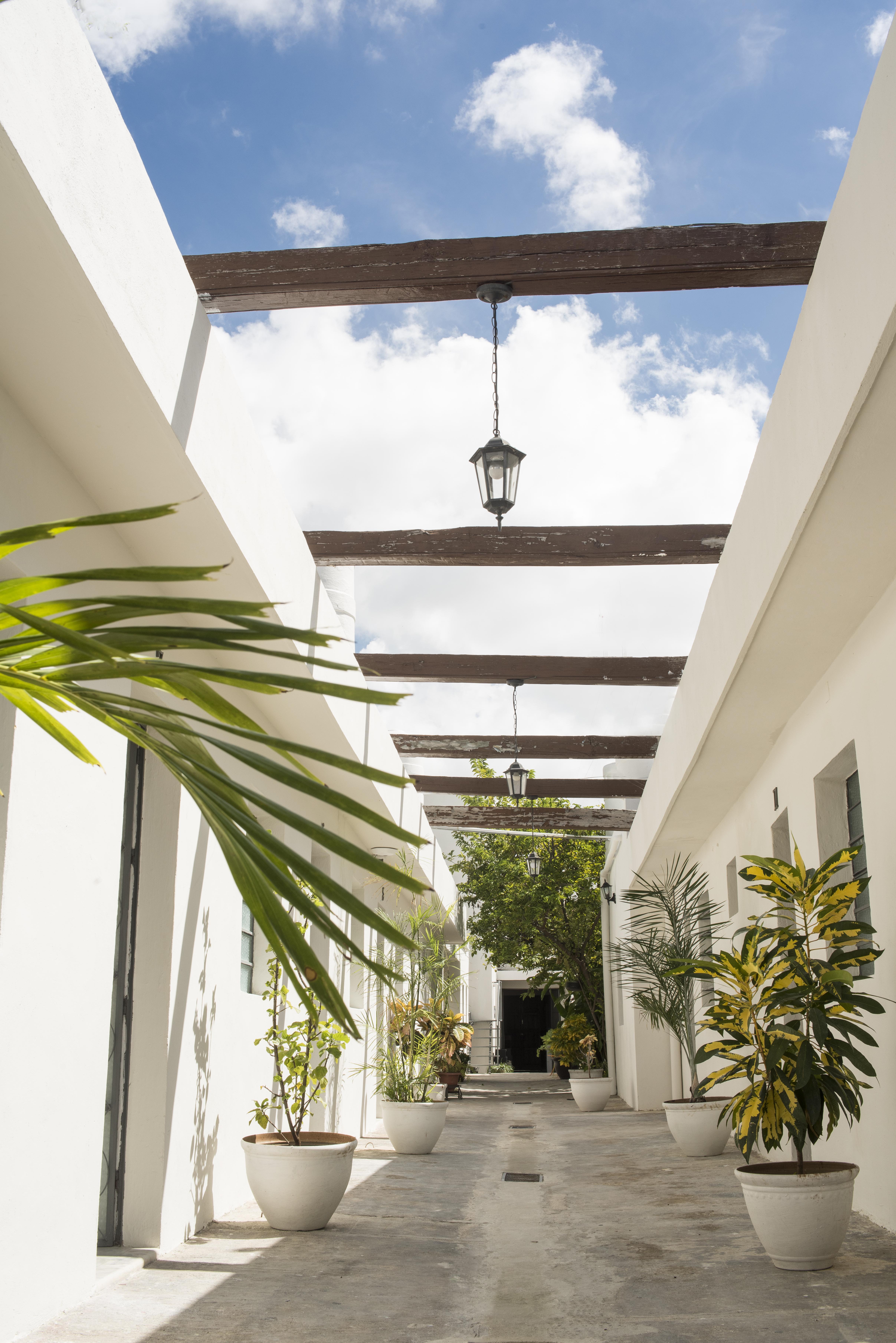 El Tigre De Santiago Hostel Mérida Exterior photo